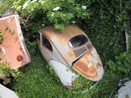 Vw Oval Beetle Hiding In A Garden Vw Kafer Schrott Wrack