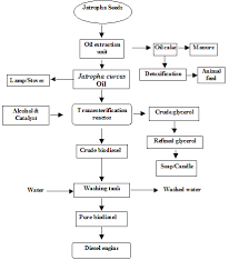 Tnau Agritech Portal Bio Fuels