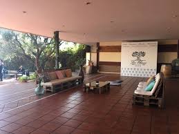 We did not find results for: Hotel Los Olivos Celebrarlo