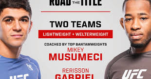 What We Learned From UFC BJJ 1