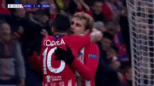 The france striker is currently playing out of his skin. Antoine Griezmann Celebration Gif Griezmann Gifs Find Share On Giphy Despite Being Named Man Of Bernard Delk