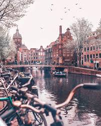 Amsterdam Bike Rent 2020 All You Need To Know Before You Go With Photos Tripadvisor