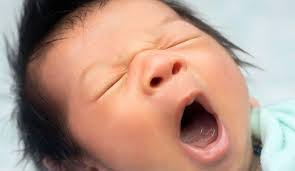 Community Engagement in Smart City Development