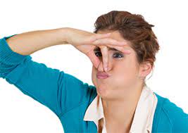 We did not find results for: What Are Those Strange Smells Coming From My Air Vents Air Specialist Houston