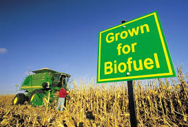 The Pros And Cons Of Biofuels
