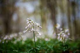 We did not find results for: 10 Signs Of Spring At Ontario Parks