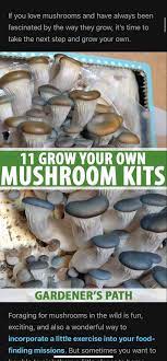 11 Of The Best Mushroom Kits To Grow Your Own Gardener S Path In 2020 Mushroom Kits Stuffed Mushrooms Grow Your Own Mushrooms