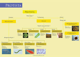 Image result for FOTO MAPPING PELAKSANAAN PROYEK