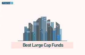The Best Large Cap Fund To Invest In 2022 - Shabbir Bhimani