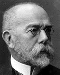 Auf Grund dieser Enddeckungen wurde <b>Robert Koch</b> 1880 in das Kaiserliche <b>...</b> - koch