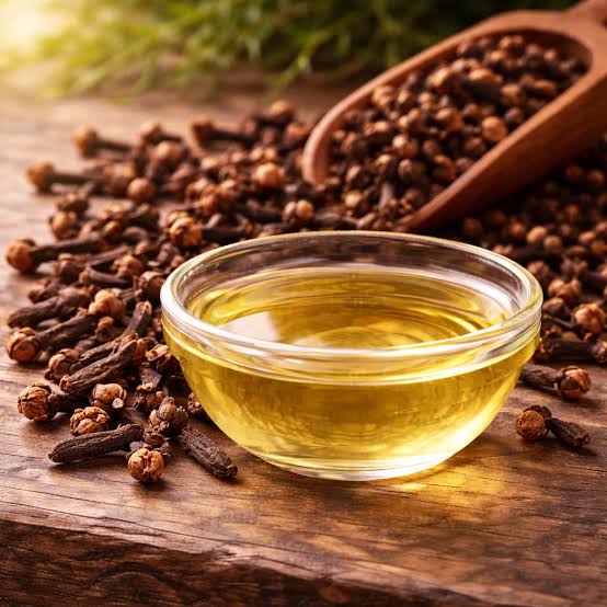 Clove Bud Essential Oil | Eugenia caryophyllus
