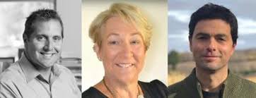 Three more announce bids for state Senate seat