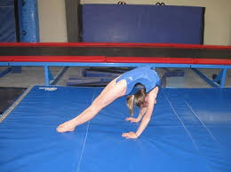 The forward roll (colloquially called a roly poly) is one of the most basic elements in gymnastics and one of the first learnt. Stretching The Spines Of Gymnasts A Review Springerlink