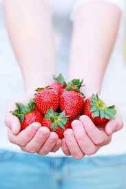 Fraises Ideias Frutas Brasileiras Frutas