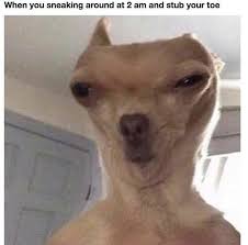 Pin On Funny Pictures