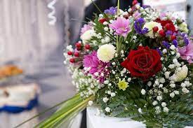 Check spelling or type a new query. 7 Bunga Ini Tak Hanya Cantik Tapi Juga Penuh Makna Apa Saja Cantik Tempo Co