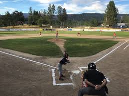 Breakout Year For Mountain Area Youth Baseball