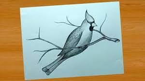 When you want to start your own pencil drawings this is a must read tips. Simple Pencil Drawing Ideas Bird Drawing And Shading Youtube