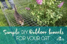 Build your own cat run or get a cat enclosure builder. How To Make Outdoor Cat Tunnels For Your Indoor Cat