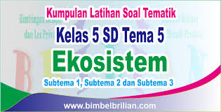 Kumpulan Soal Tematik Kelas 3 Sd Tema 5 Ekosistem Subtema 1 Subtema 2 Dan Subtema 3 Bimbel Brilian