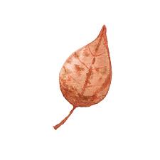 We did not find results for: Cat Air Lukisan Daun Gambar Gratis Di Pixabay