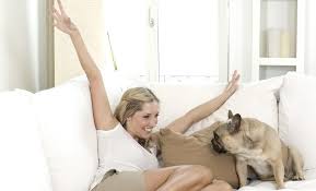 Die professionelle grundreinigung sorgt für eine frische optik und verbessert die lebensqualität, insbesondere für die rund 25 millionen allergiker, die in deutschland leben. Polsterreinigung Munchen Von Polsterblitz Einfach Sauber