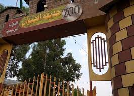 السياحة في الطائف افضل اماكن سياحيه في الطائف 2021 عالم السفر