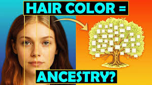 The Hidden Links Between Your Sleep & Ancestry…