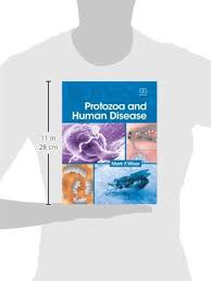 Image result for Protozoa