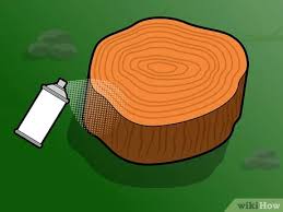Tree ring table can be obtained in the following ways:sold on cash shop. How To Preserve A Tree Stump With Pictures Wikihow
