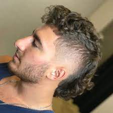 Fancy Mullet Mullet Haircut Mullet Hairstyle Curly Hair Men