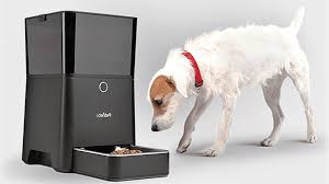 It allows the user to record 10 seconds of voice to be played as a meal call. Auto Dog Feeder With Timer Yasserchemicals Com