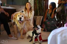 Esencia Beach Wedding Video Dog Ruff Ers