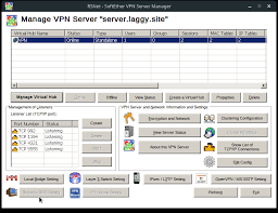 Image result for softether vpn server GUI