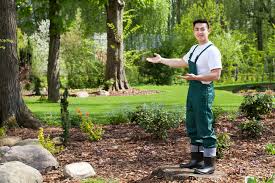 Jetez un oeil à ce modèle de plan de jardin pour améliorer vos idées d'aménagement de jardin. Tarifs Et Prestations De Creation De Jardin Exemple De Devis Debroussaillez
