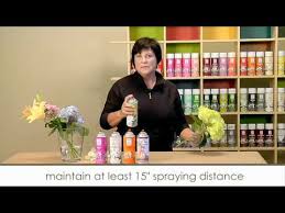 How to preserve dried flowers spray. Howto Spray Flowers Mov Youtube