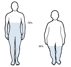 About le corps est l'onde. Quelle Est La Quantite D Eau Dans Le Corps Humain Santedz Santedz