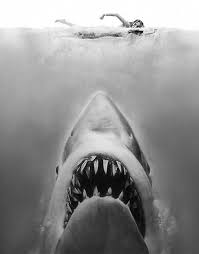 Black And White Shark Funnster Top Detail From Jaws Movie Poster Bottom Jaws Movie Jaws Movie Poster Movie Art