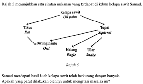 E) 5uum 6) apakah nama sekolah anda? Soalan Latihan Sains Tahun 5 Upsr Online