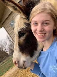 Donkey Days by Phil Sinclair. Donkey days are great days They're highdays  and holidays They're winter days and summer days and out in all weather  days They're lazy days and active days