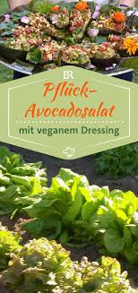 Zwischen Spessart Und Karwendel Pfluck Avocadosalat Mit Veganem Dressing Alte Salatsorten Wiederentdeckt Avocado Salat Und Avocado Salat