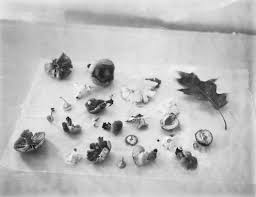 I Imagined It Empty Ruth Lauer Manenti