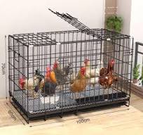 Poulailler Poulailler, Cage à Poulet Pliable avec Plateau Coulissant et  Roulette, Nichoir à Poulet, Poulailler pour Animaux de Compagnie de Jardin  : ...
