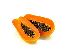 Image result for Carica papaya
