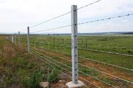 Farm Fence With Concrete Fencing Posts And Barbed Wire Strands Concrete Posts Concrete Fence Posts Farm Fence
