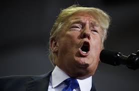 Trump's message dropped ahead of a gop convention in north carolina on saturday evening they don't have people like we do who go off on their own and do what they have to do, trump said. Moglicher Steuerbetrug Von Donald Trump Weisses Haus Weist Vorwurfe Zuruck Politik Stuttgarter Zeitung