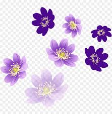 Vector Flower Png Flower Png For Photosho Png Image With Transparent Background Png Free Png Images Vector Flowers Free Png Flowers