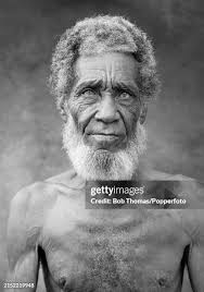 931 Alice Beard Stock Photos, High-Res Pictures, and Images