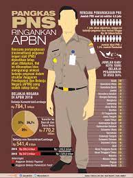 Pin Di General Infographic