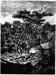 Maybe you would like to learn more about one of these? Del Pacifico Al Atlantico Y Otros Escritos Ii El Cerro De La Sal Y El Gran Pajonal Institut Francais D Etudes Andines